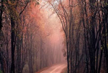 九州体育官方网站:謝暉五十歲為愛補辦婚禮:遇到對的人水到渠成!.