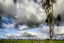 搭檔賴斯坐鎮中場 曝阿森納想簽京多安.