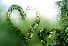 九州体育官方网站:2024年世界举重锦标赛 李闫斩获3金并破世界纪录.